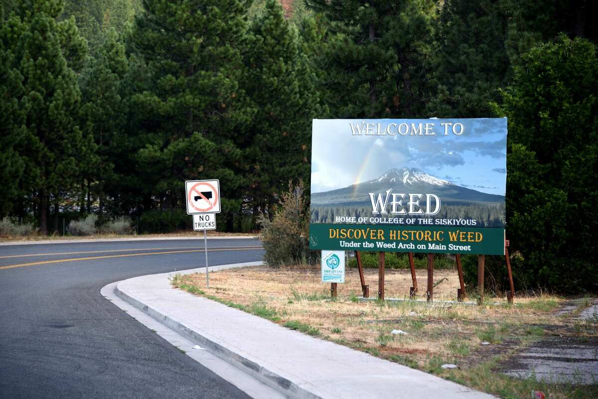 The town of Weed derives its name from founder of the local lumber mill Abner Weed.