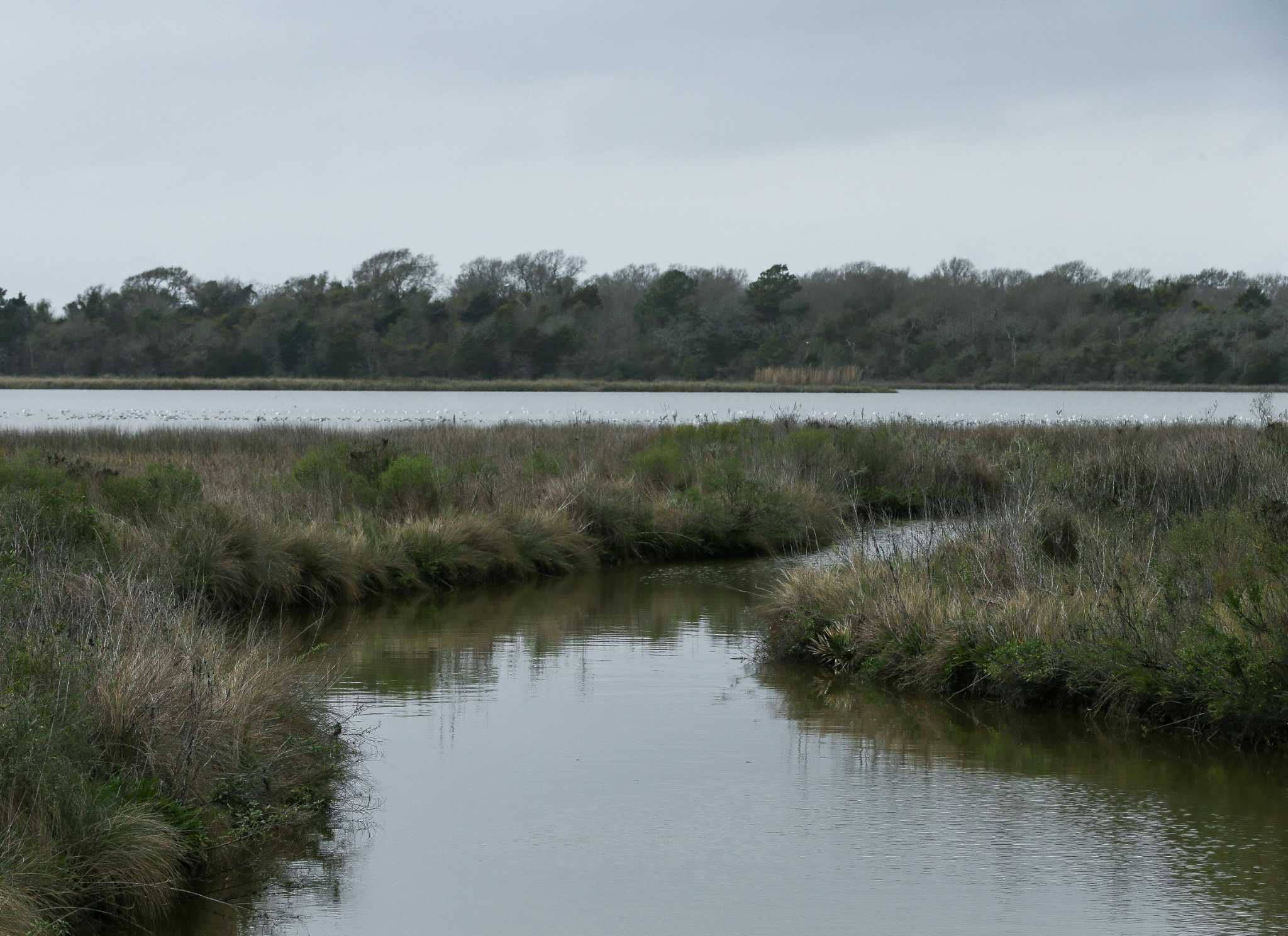 Texas GOP walks back Monday testimony against renaming Negrohead Lake, other sites - Vimarsana News