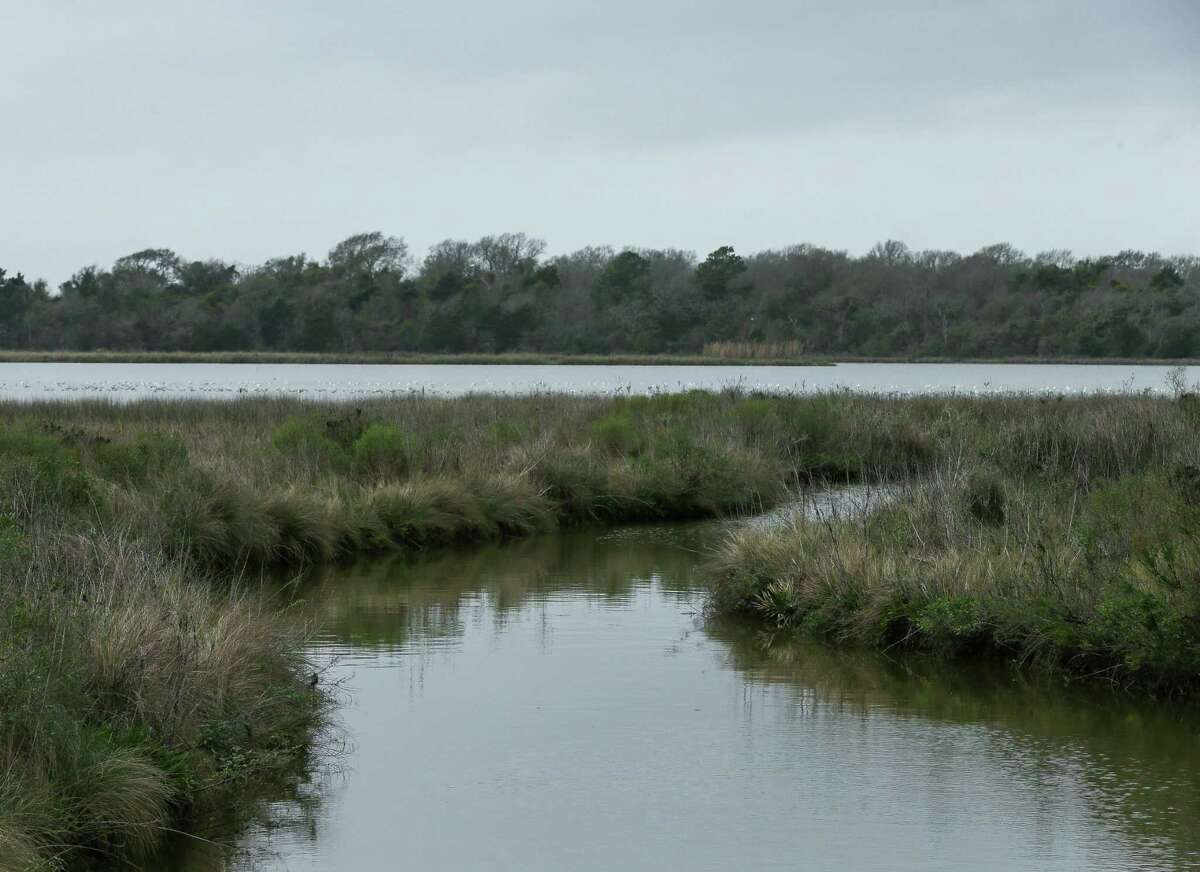 Water Oak Gully empties to Ijams Lake, which is just south of Negrohead Lake, photographed Monday, Feb. 8, 2021, in Baytown, Texas. Rodney Ellis and other city, county, state and federal officials gathered are demanding that Negrohead Lake be renamed Lake Henry Doyle as envisioned in the state law.