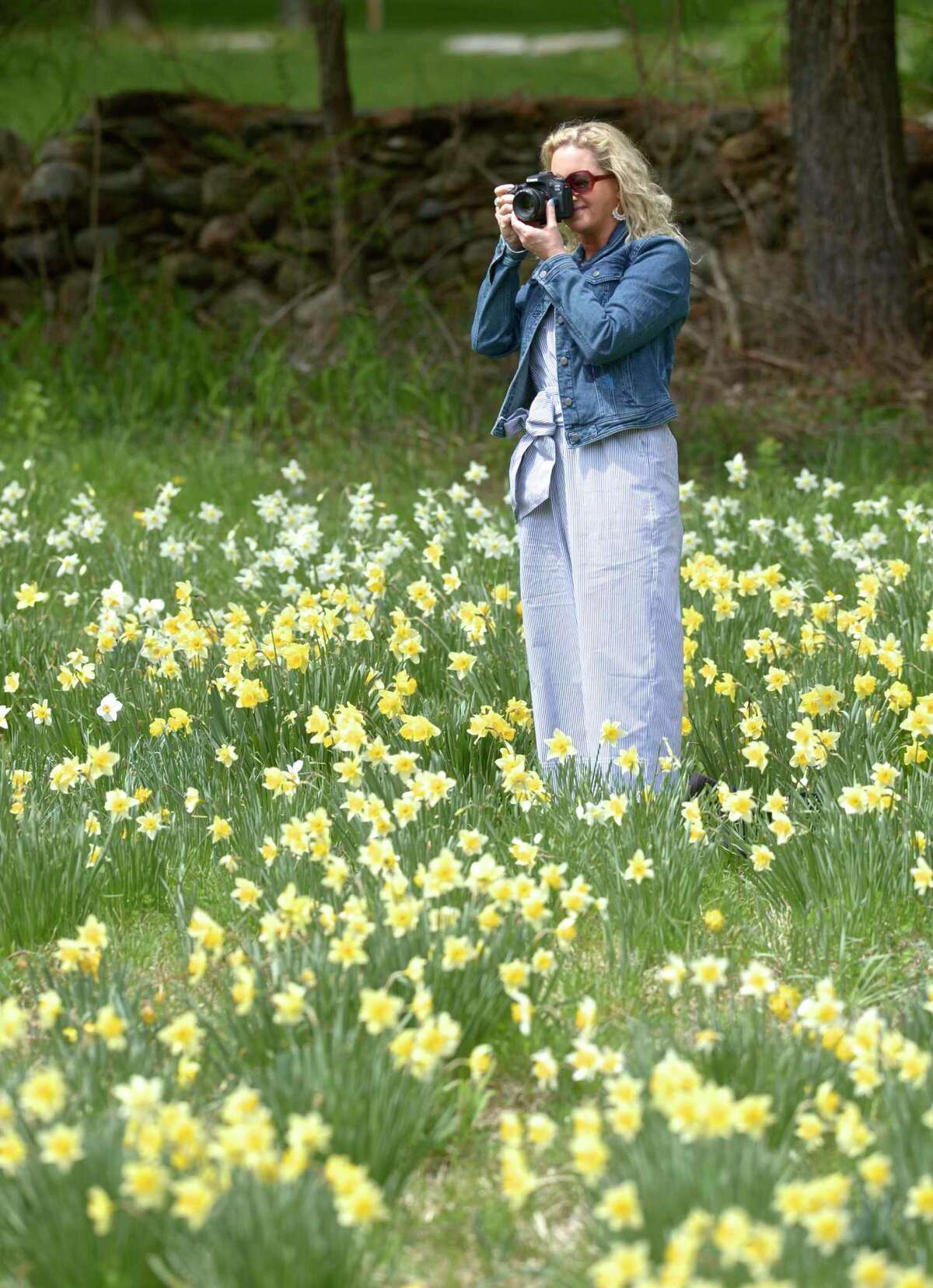 A Redding woman feared a popular daffodil field would be destroyed, so