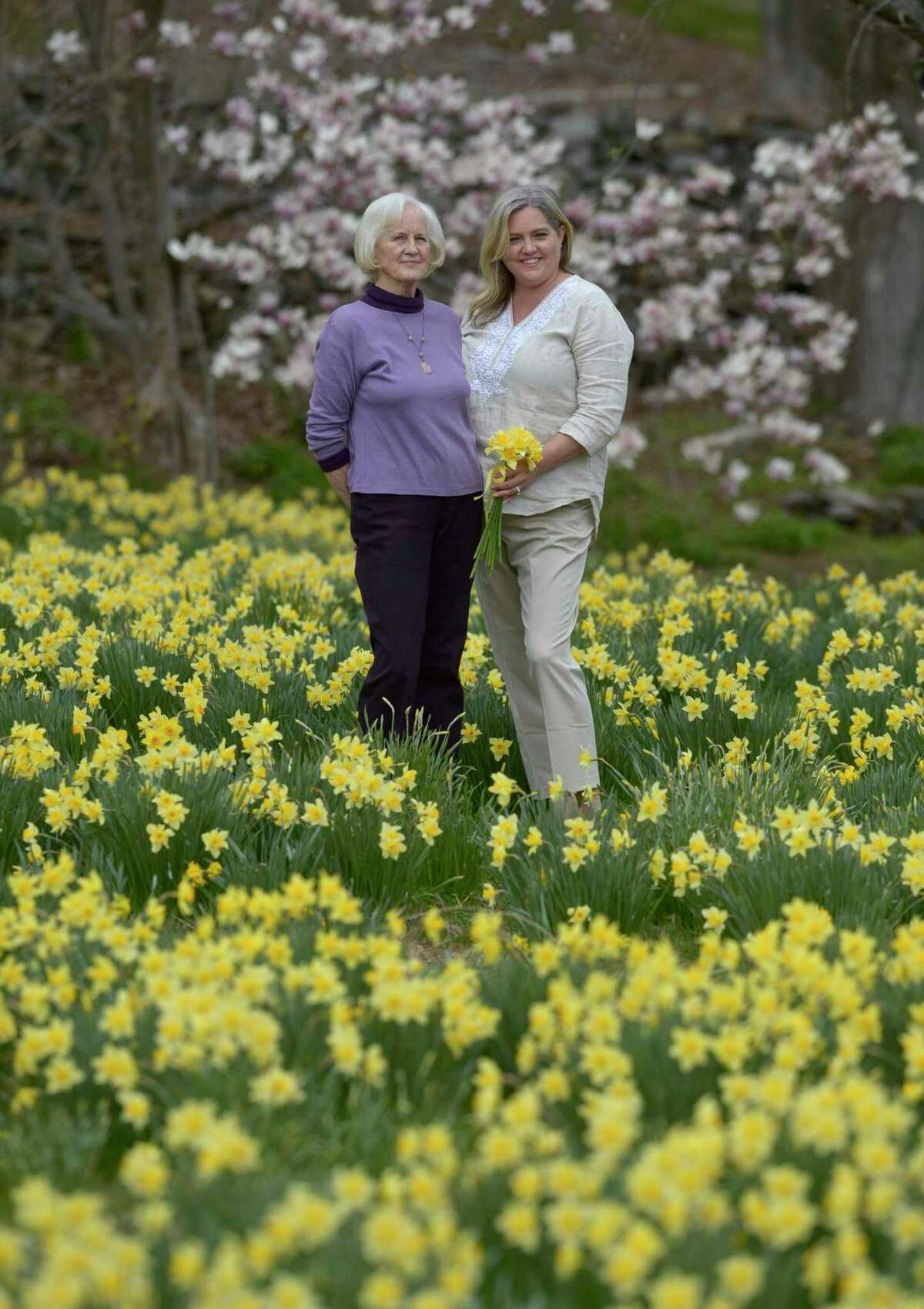 A Redding woman feared a popular daffodil field would be destroyed, so