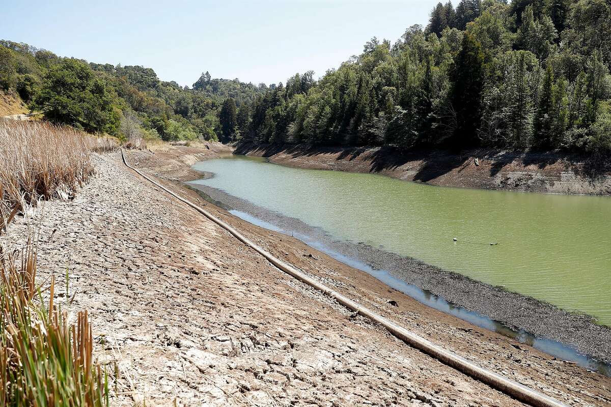 The water level is historically low at Phoenix Lake, one of Marin Municipal Water District’s seven reservoirs.