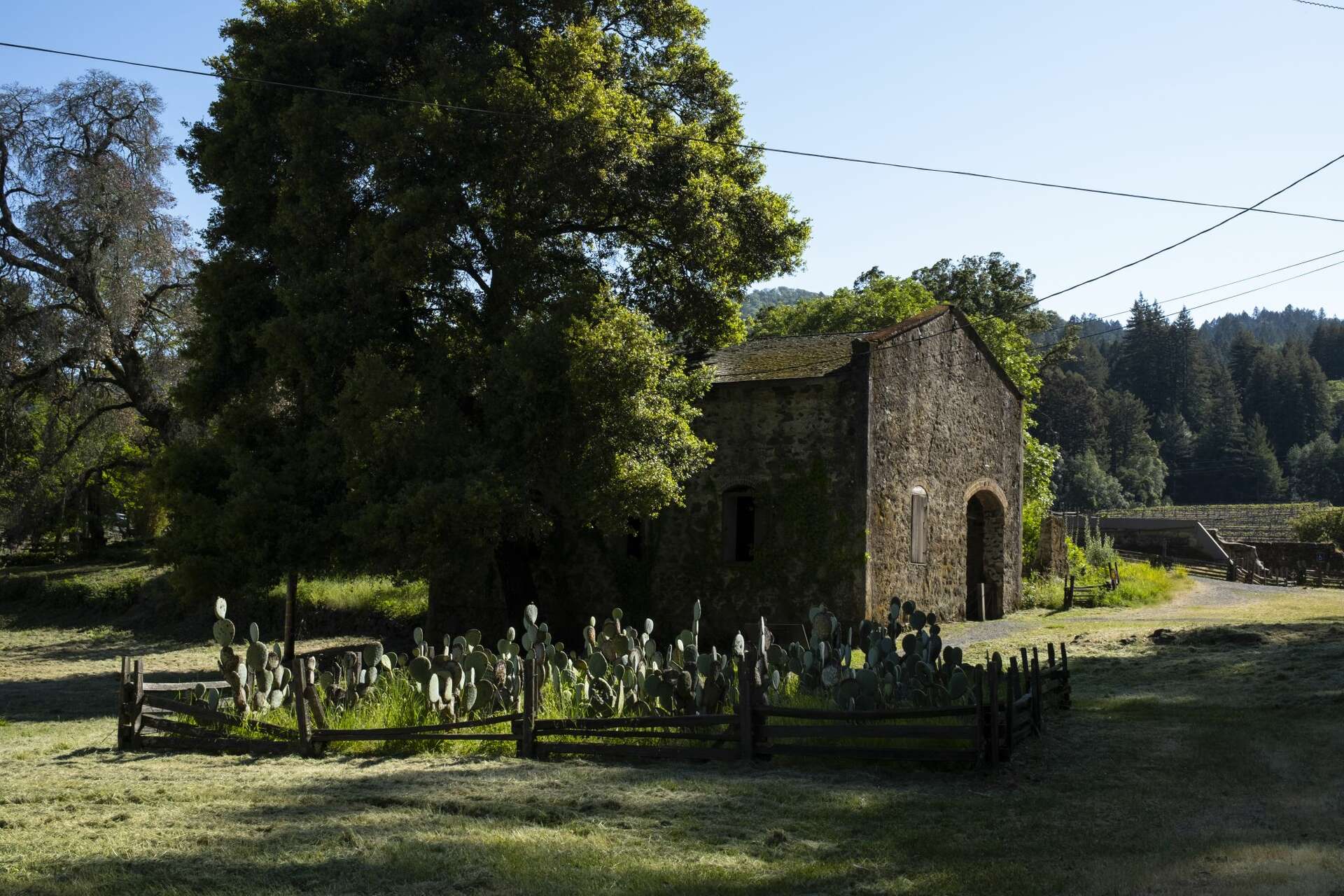 Hike the burnt ruins of famed Bay Area author’s historic