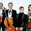 Catalyst String Quartet will perform during MOCA Westport's summer concert series.