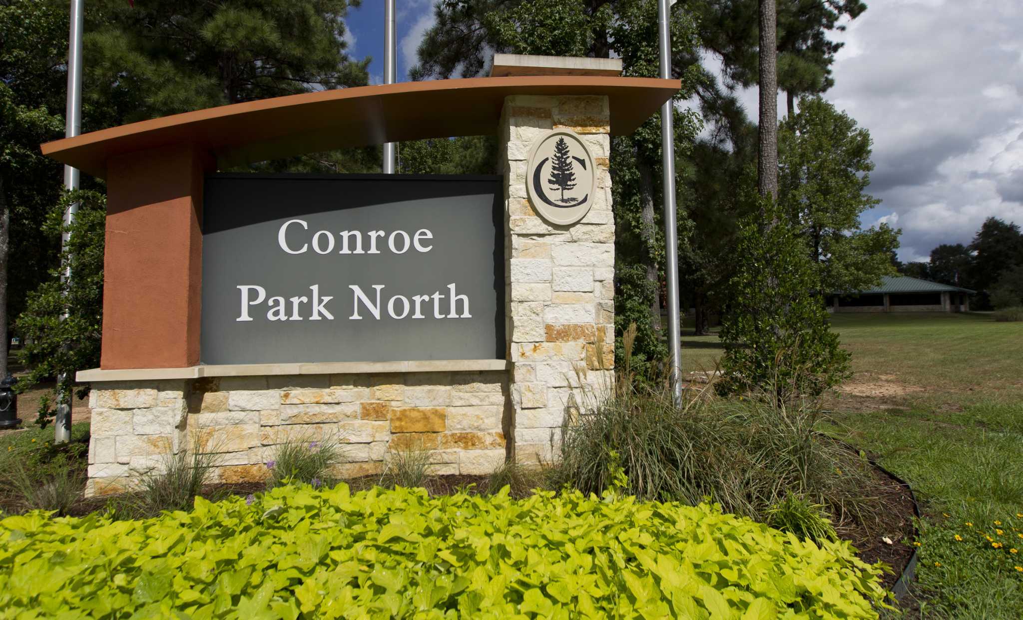 Carmax 45 South Houston Inventory