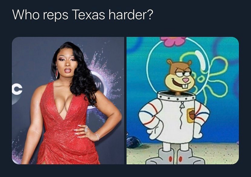 Megan Thee Stallion or Sandy Cheeks: Who has the most Texas spirit? - Vimarsana News