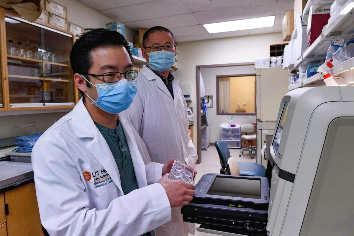 Kevin Chiem, left, and Chengjin Ye of Texas Biomedical Research Institute work Monday on an imaging machine that is able to show the spots on a culture where the coronavirus has landed on cells. The institute recently received two Department of Defense subcontracts totaling nearly $2 million to study whether a special surface coating and a low amount of hydrogen peroxide can be used to automatically and continuously decontaminate surfaces and indoor to prevent COVID-19 and future diseases.