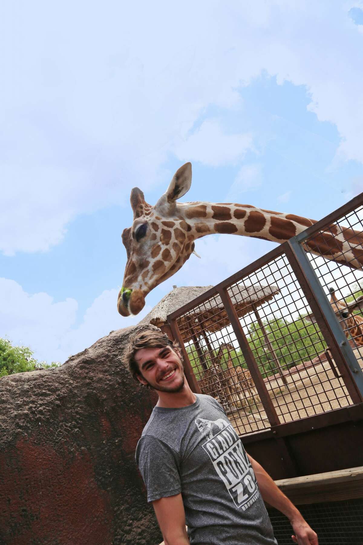 Giraffe Gladys Porter Zoo