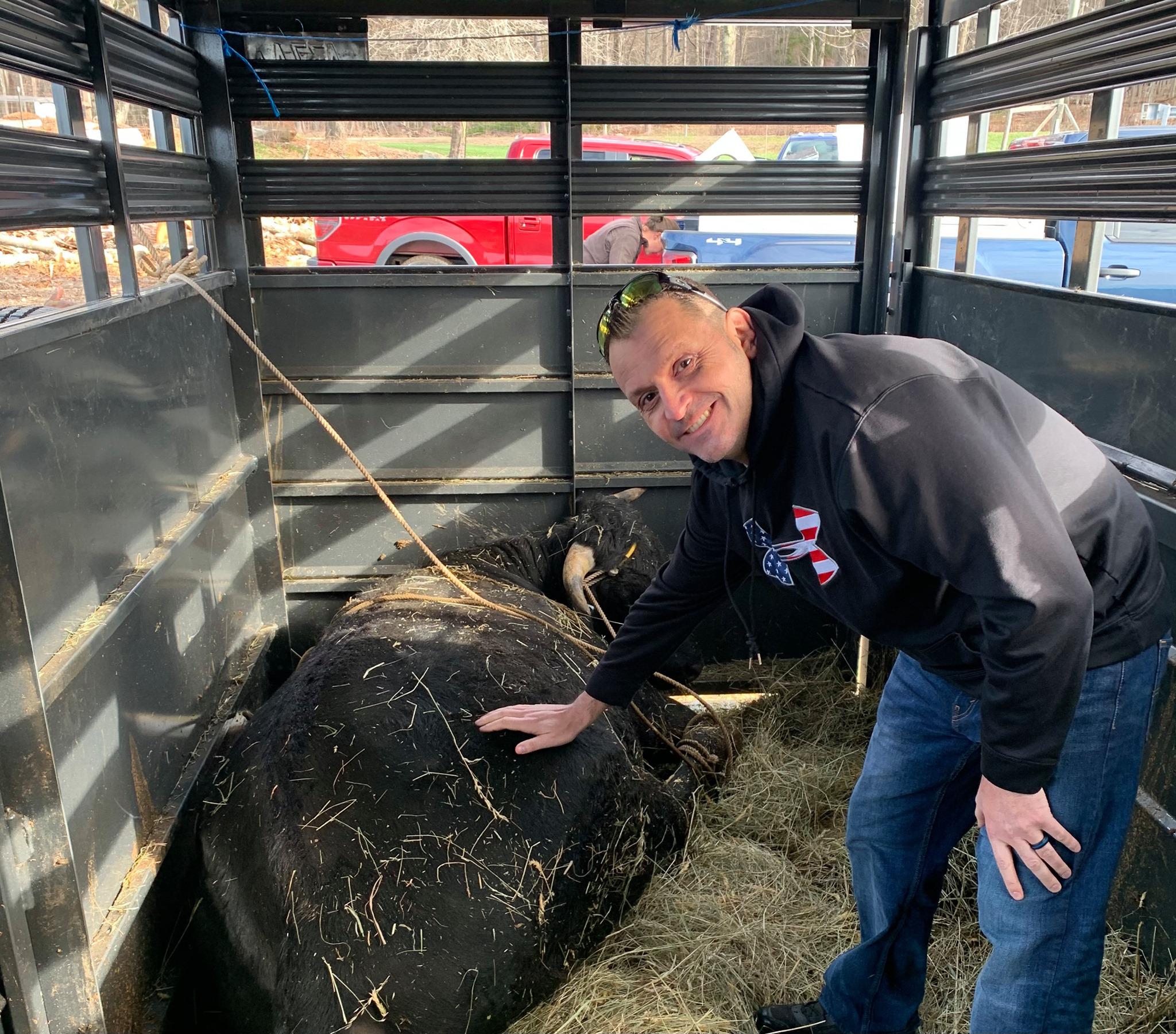 Buddy the Beefalo finds a home, we get a tiny population boost, and reflecting on 'Long CT' - Vimarsana News