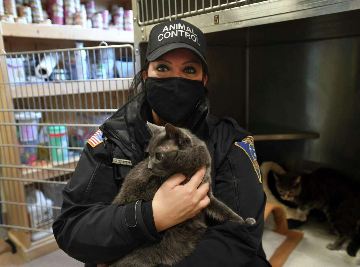 Animal Control Officer Michelle DeAngelo with mother and daughter cats Violet and Azalea, available for adoption at the Shelton Animal Shelter in Shelton, Conn. on Tuesday, April 20, 2021.