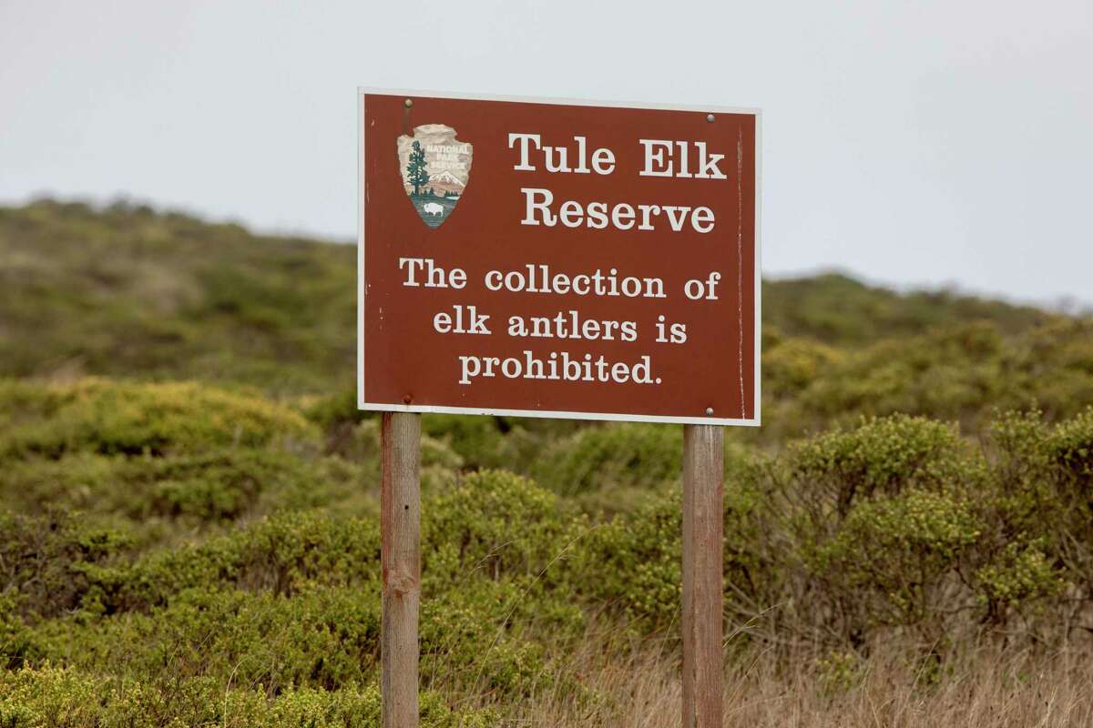 A sign informs visitors of the rules at Tomales Point in Point Reyes National Seashore on Aug. 28, 2020.