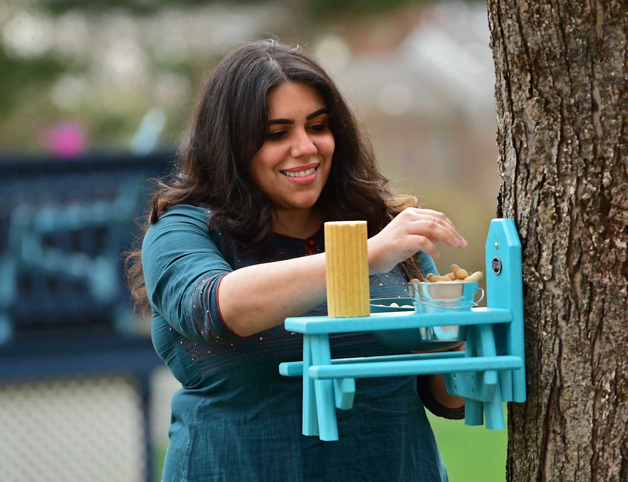 Tables and chairs for squirrels and chipmunks - Vimarsana News