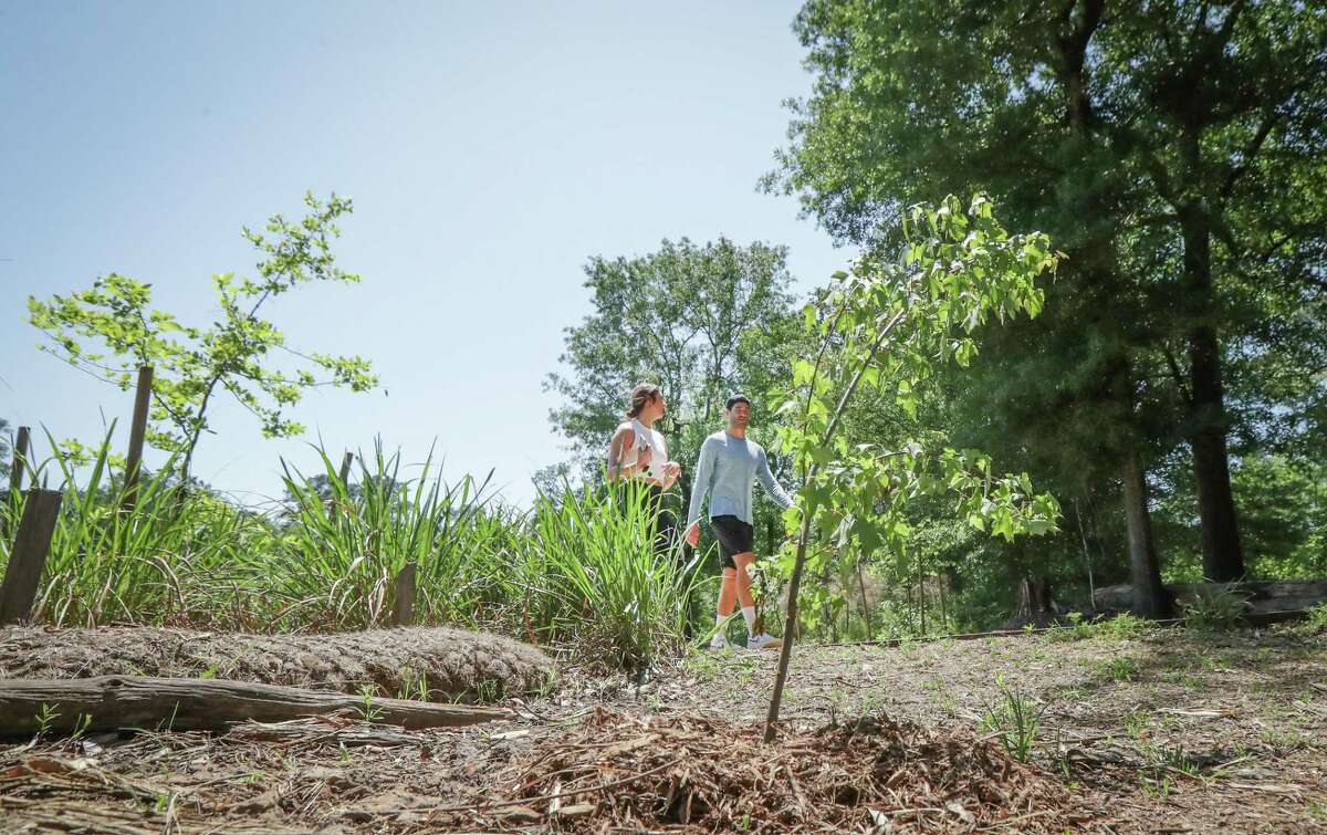 Trees for Houston has planted 600,000 trees. Now, the nonprofit is