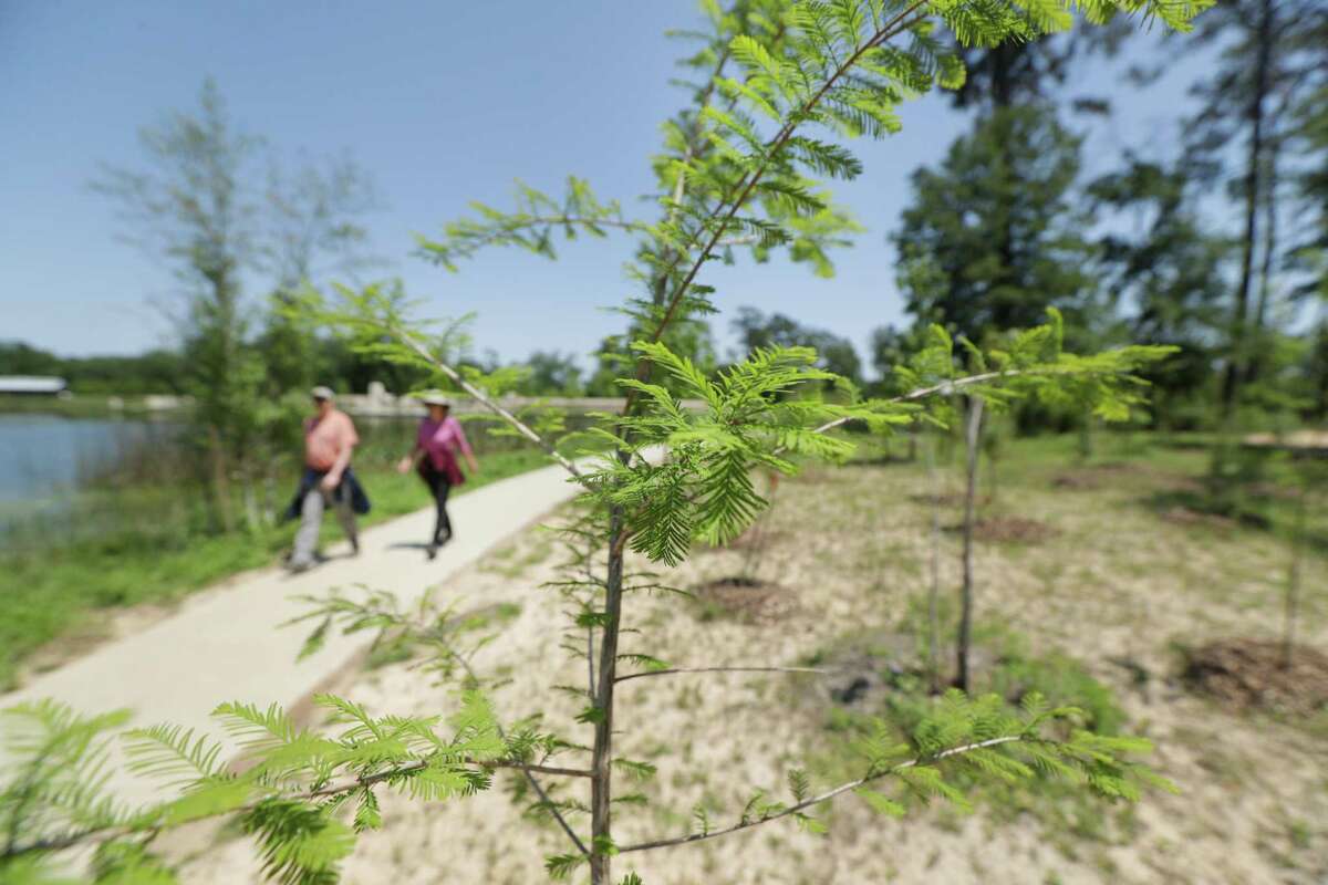 Trees for Houston has planted 600,000 trees. Now, the nonprofit is