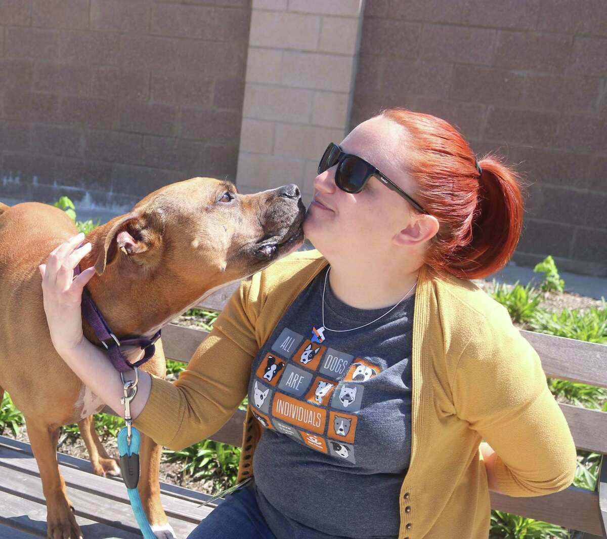 League City Animal Control coordinator Lynette Bodmer receives a kiss from Brock in the facility's courtyard. Brock is one of the dogs waiting to be adopted.