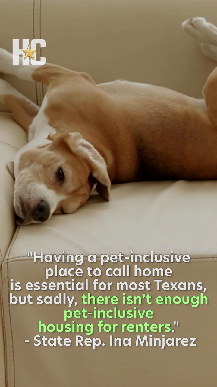 Bill targets dog breed restrictions in public housing