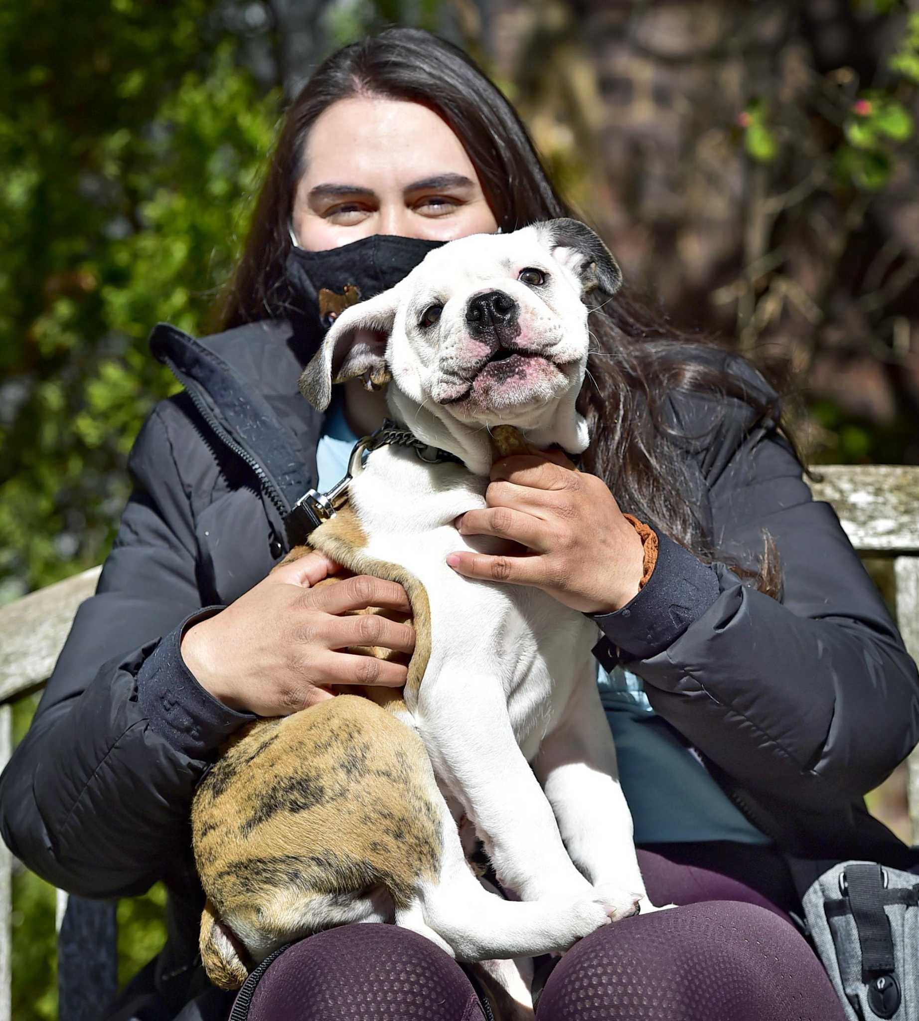 Meet Yale’s new Handsome Dan ‘He absolutely knows he’s a star’