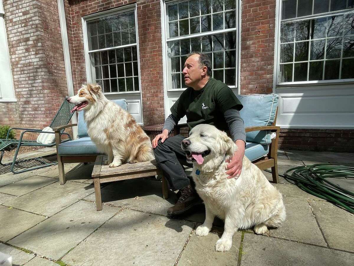 Leonard Young, who has been instrumental in fundraising efforts for a municipal animal shelter, with Naika, left and Suki, right, dogs he walks regularly in Hamden, April 22, 2021.
