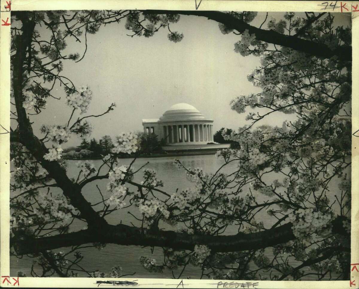 Washington, D.C.-Monuments. (Jefferson Monument). Masses of pink and white cherry blossoms line the tidal basin this time of year. It's prime tourist time in the nation's capital with much to do indoors and out.