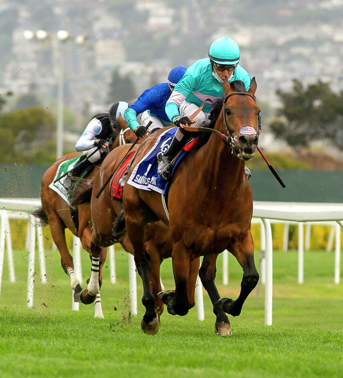 Whisper Not, with jockey Giovanni Franco aboard, races toward a victory in the San Francisco Mile at Golden Gate Fields on Saturday. He finished with a time of 1:35.94.