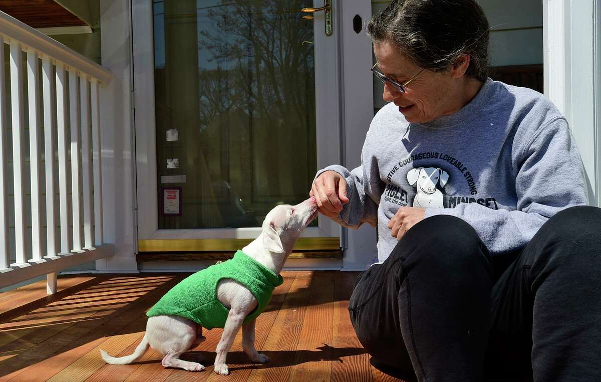 Veterinarian Melissa Shapiro and her dog Piglet at their home April 23, 2021, in Westport, Conn. Shapiro adopted Piglet, a deaf, blind and pink dog back in 2017. She created an Instagram account for him and uses it spread kindness to more than 220,000 followers. The duo now have a book coming out this summer.