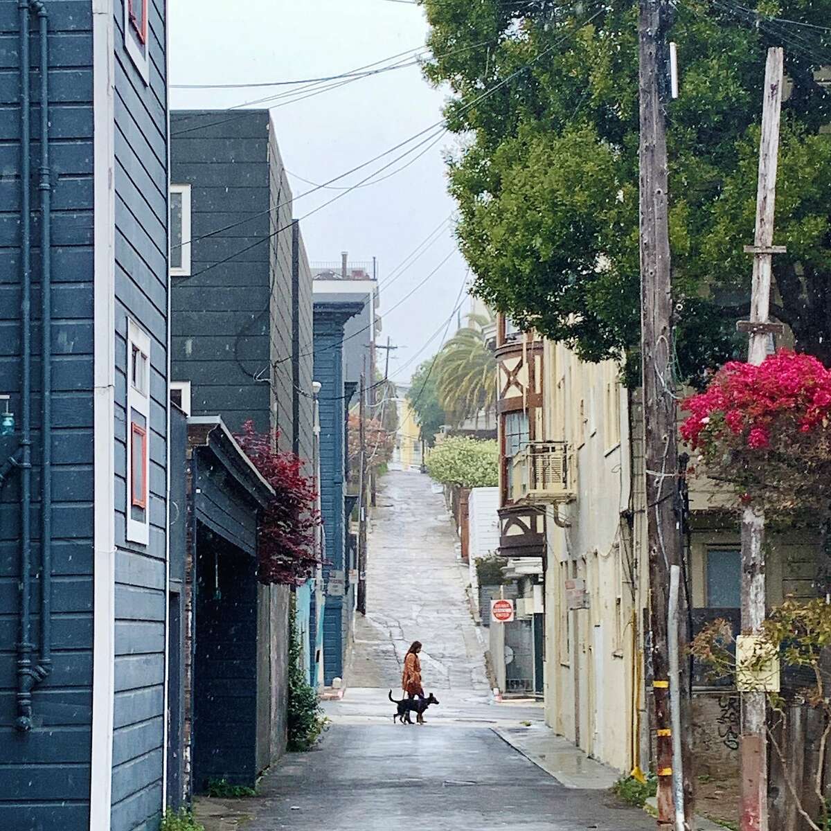 A person and dog walk in light rain in San Francisco’s Mission District on Sunday.