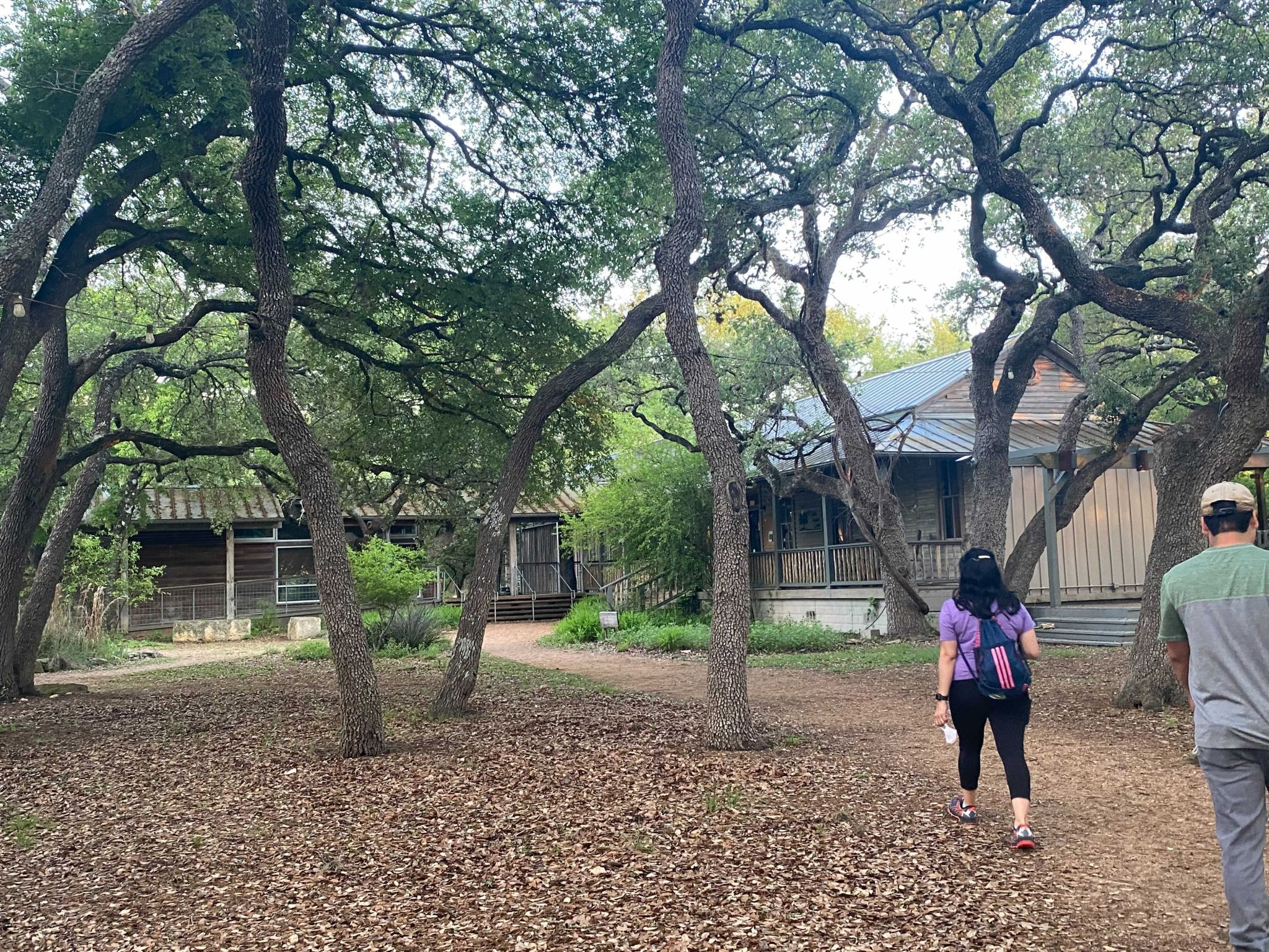 Things I learned on the night bat hike in San Antonio area - Vimarsana News