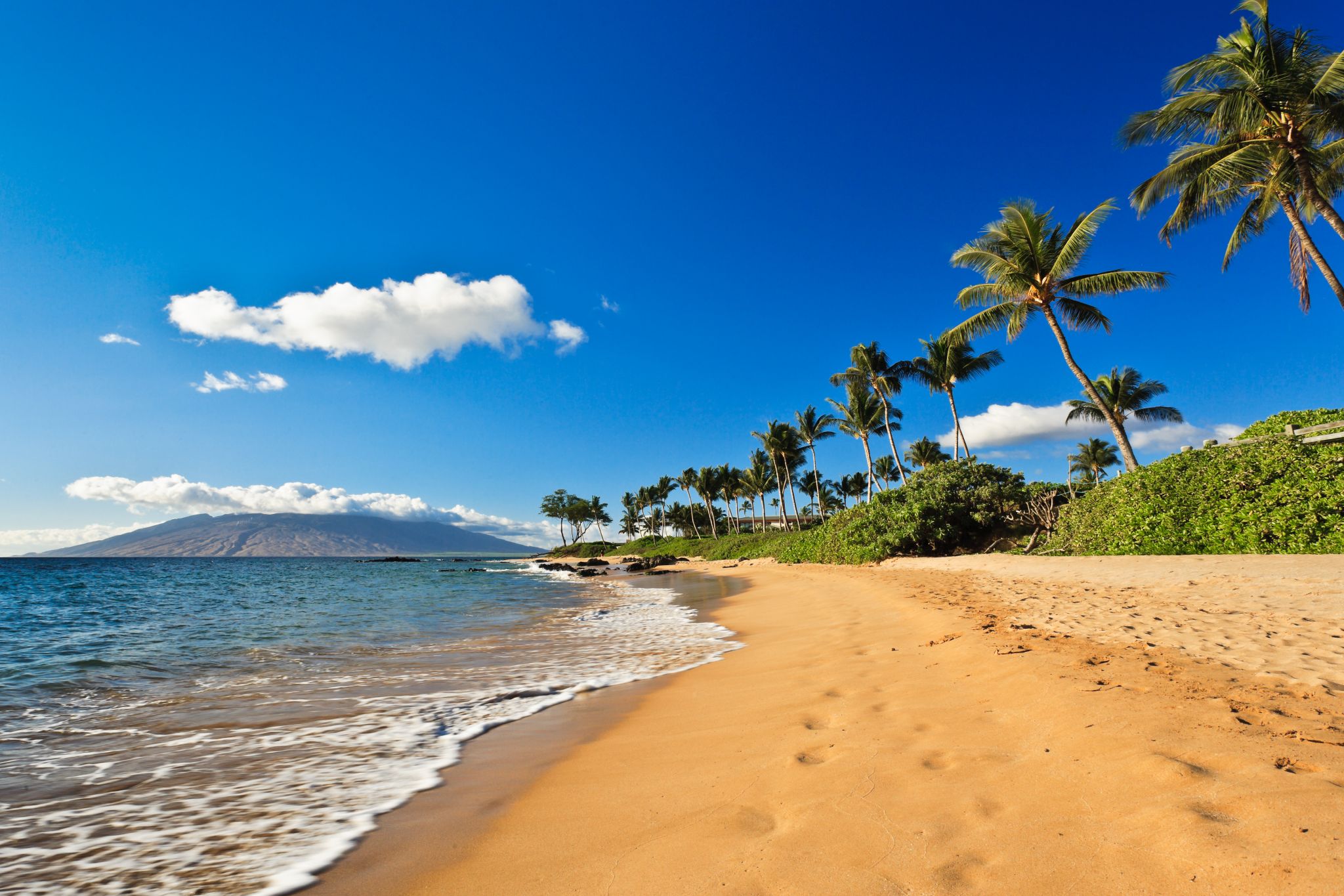 New Alaska lounge, Delta travel planning heart, Maui needs second COVID take a look at, far more