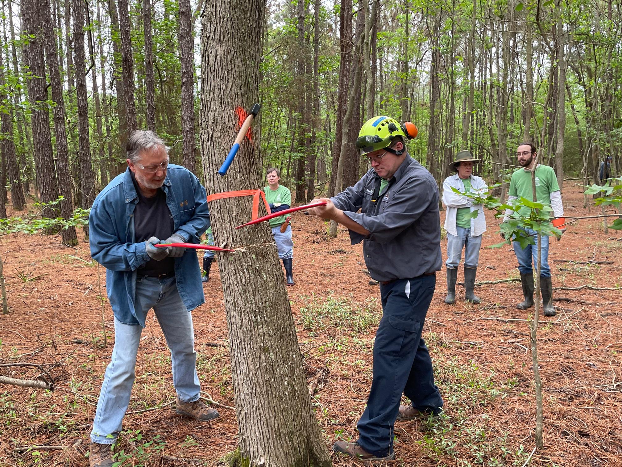 Volunteers, township join forces for marsh clean-up in The Woodlands