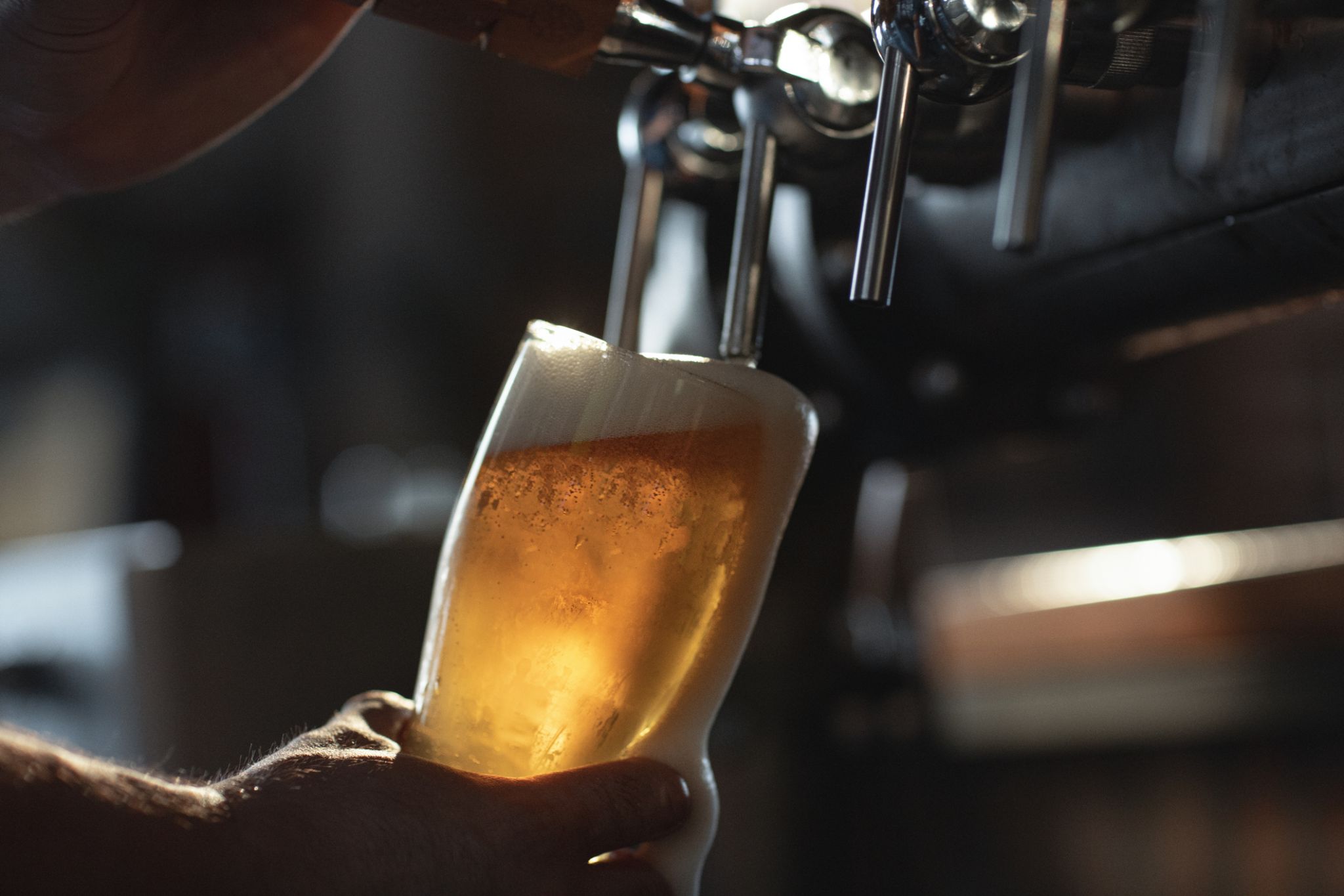 New 5 brewery collaboration released for Seattle Beer Week 2021 - Vimarsana News