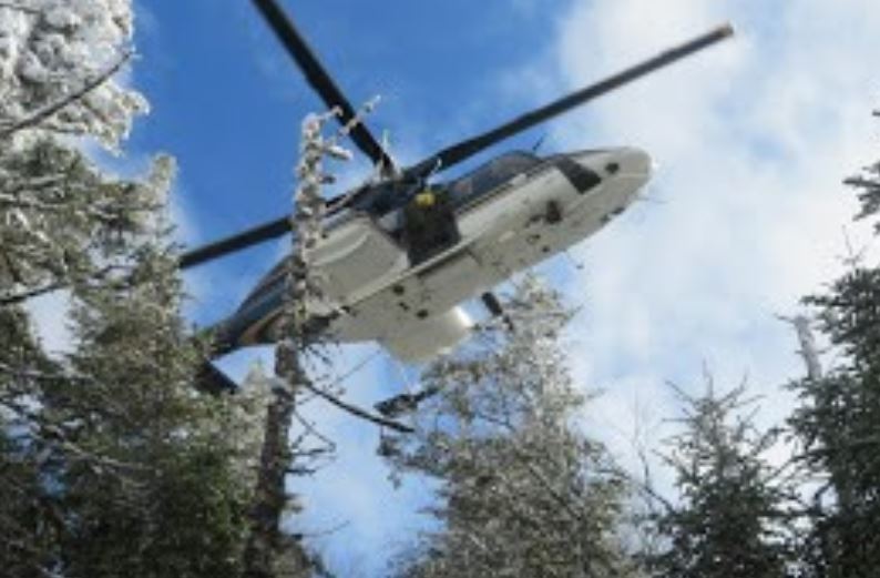 Deep woods, darkness falling, phones dying. Panic. But rangers were on their way - Vimarsana News