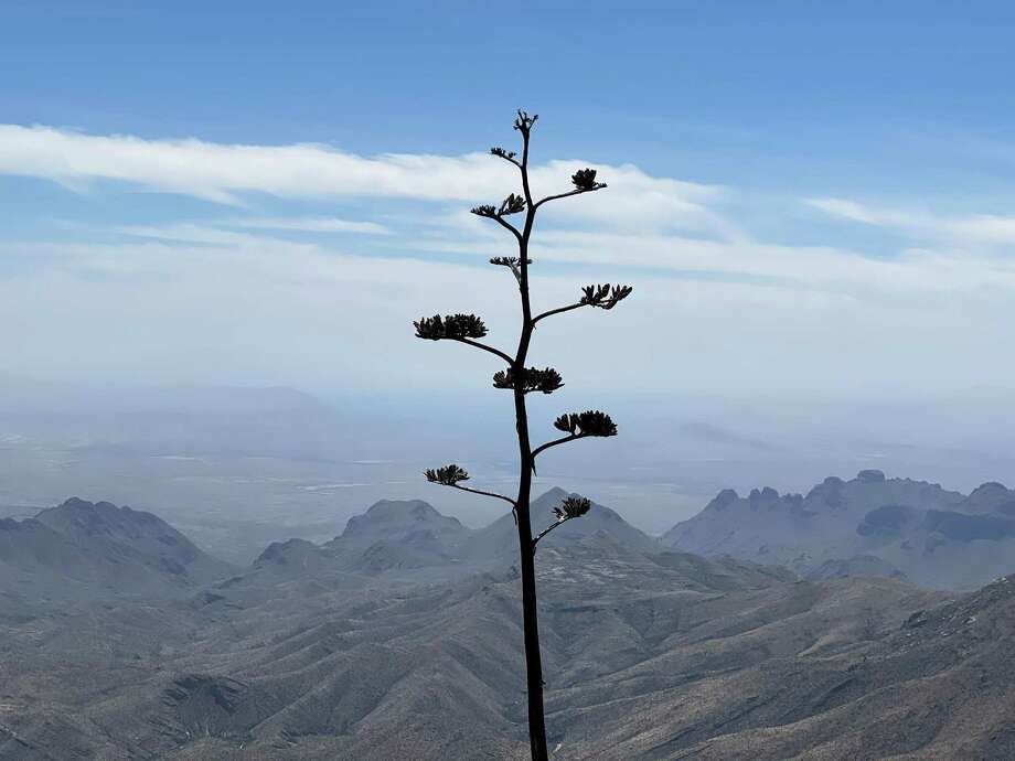 The South Rim Trail in Big Bend National Park. Photo: Melissa Aguilar/Houston Chronicle