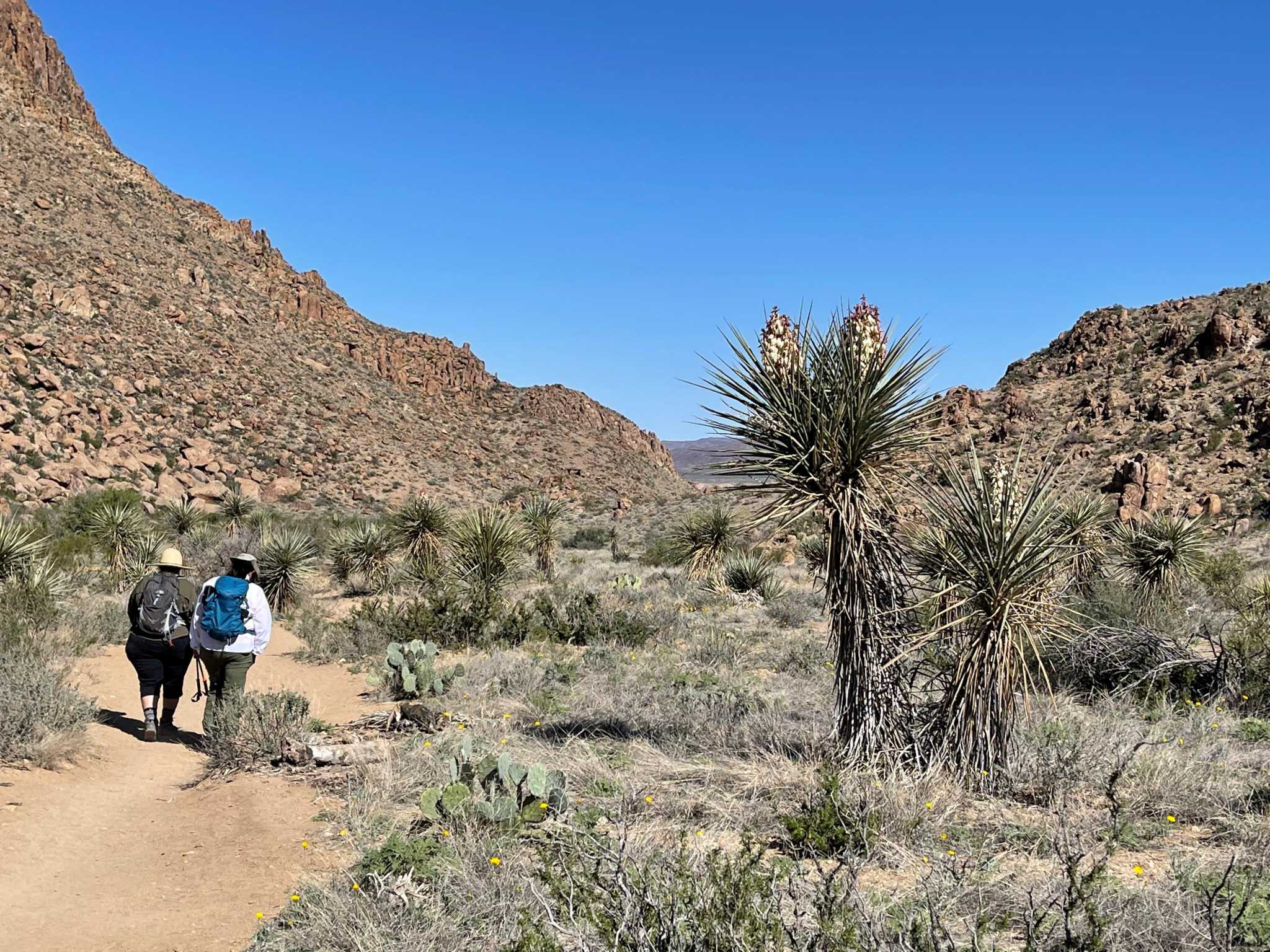 A Houston man on Thursday was found dead in Big Bend National Park