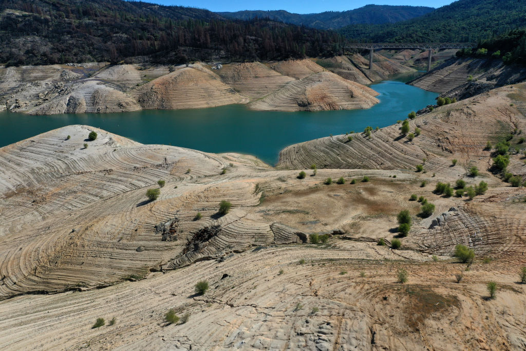 Spring Time Kings on Lake Oroville CA —