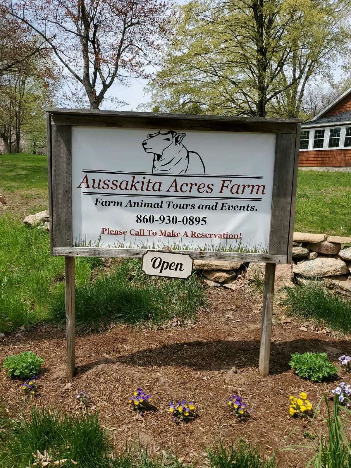 Aussakita Acres Farm in Manchester, Conn. not only has goats on site, it also has alpacas and other farm animals that guests can interact with.