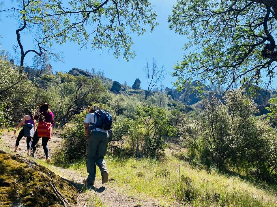 I went on a crazy hike in Pinnacles National Park and giant birds were ...