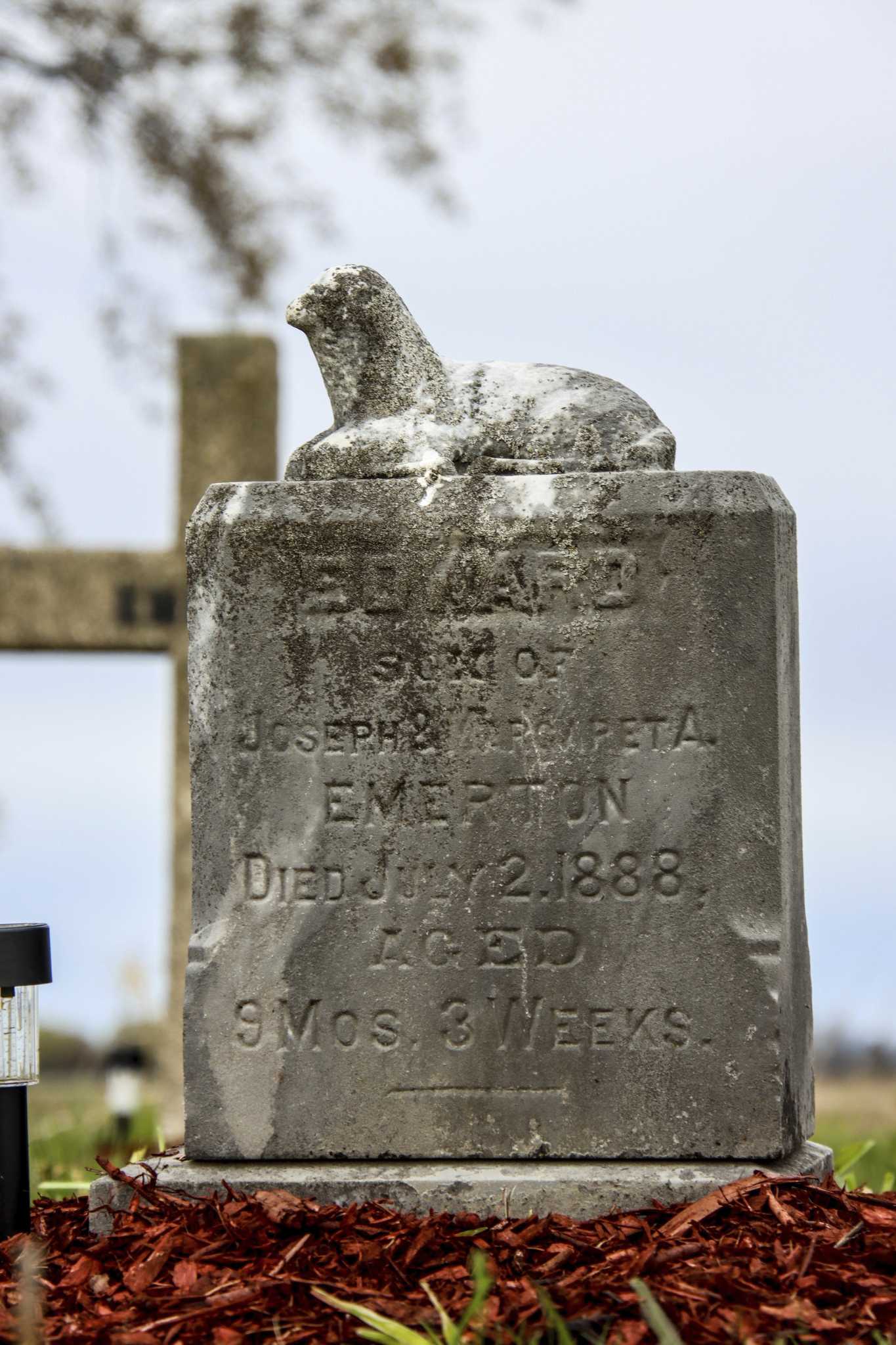 Elkton man works to preserve remains of McKay Cemetery - Vimarsana News
