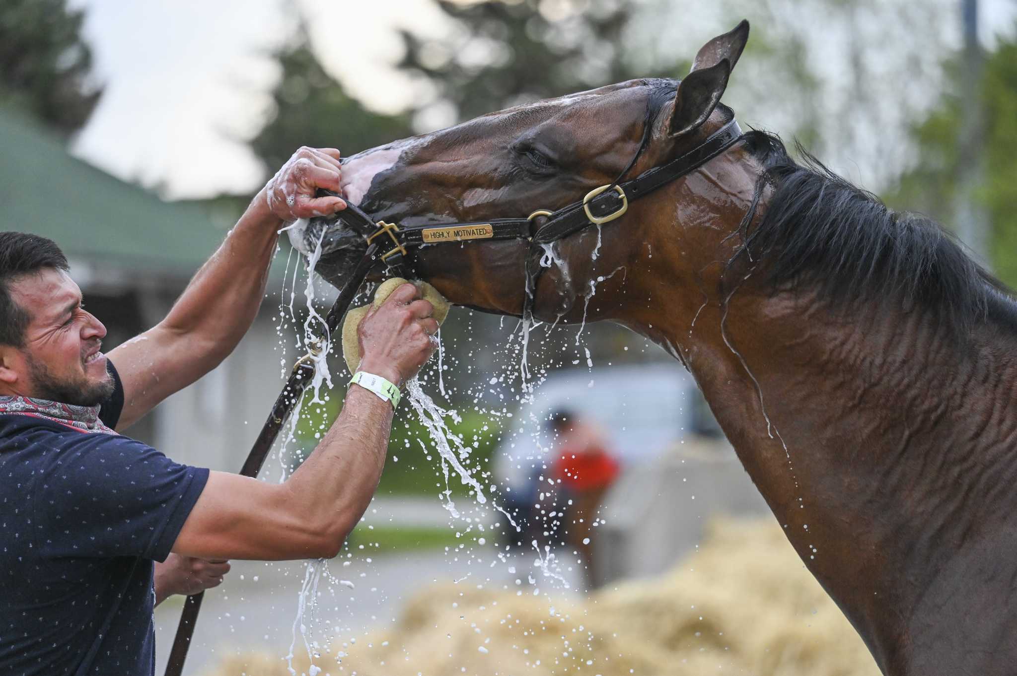 Trainer Chad Brown feeling confident about Highly Motivated in Kentucky