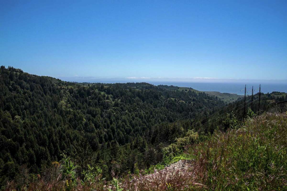 The San Vicente Creek watershed empties into the Pacific near Davenport.