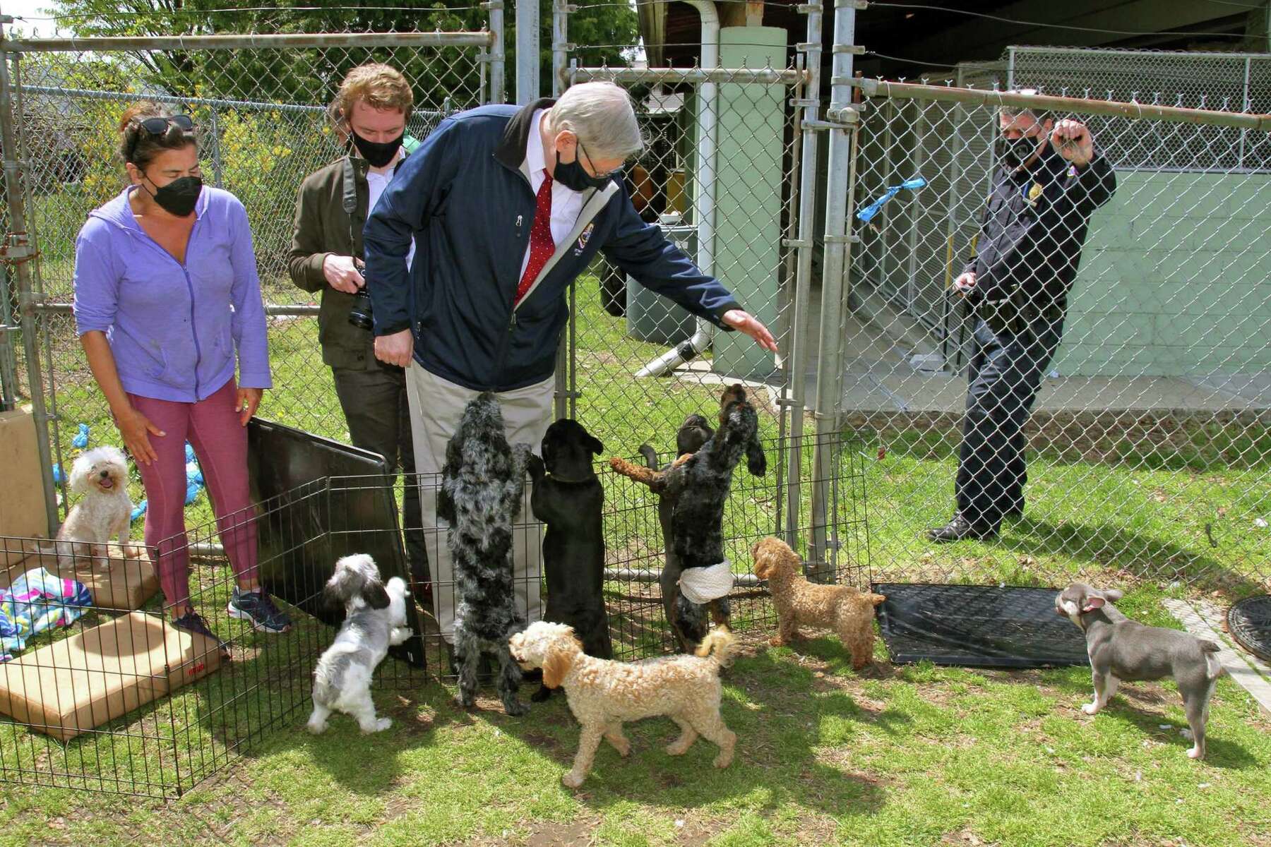 Why Should Puppy Mills Be Illegal