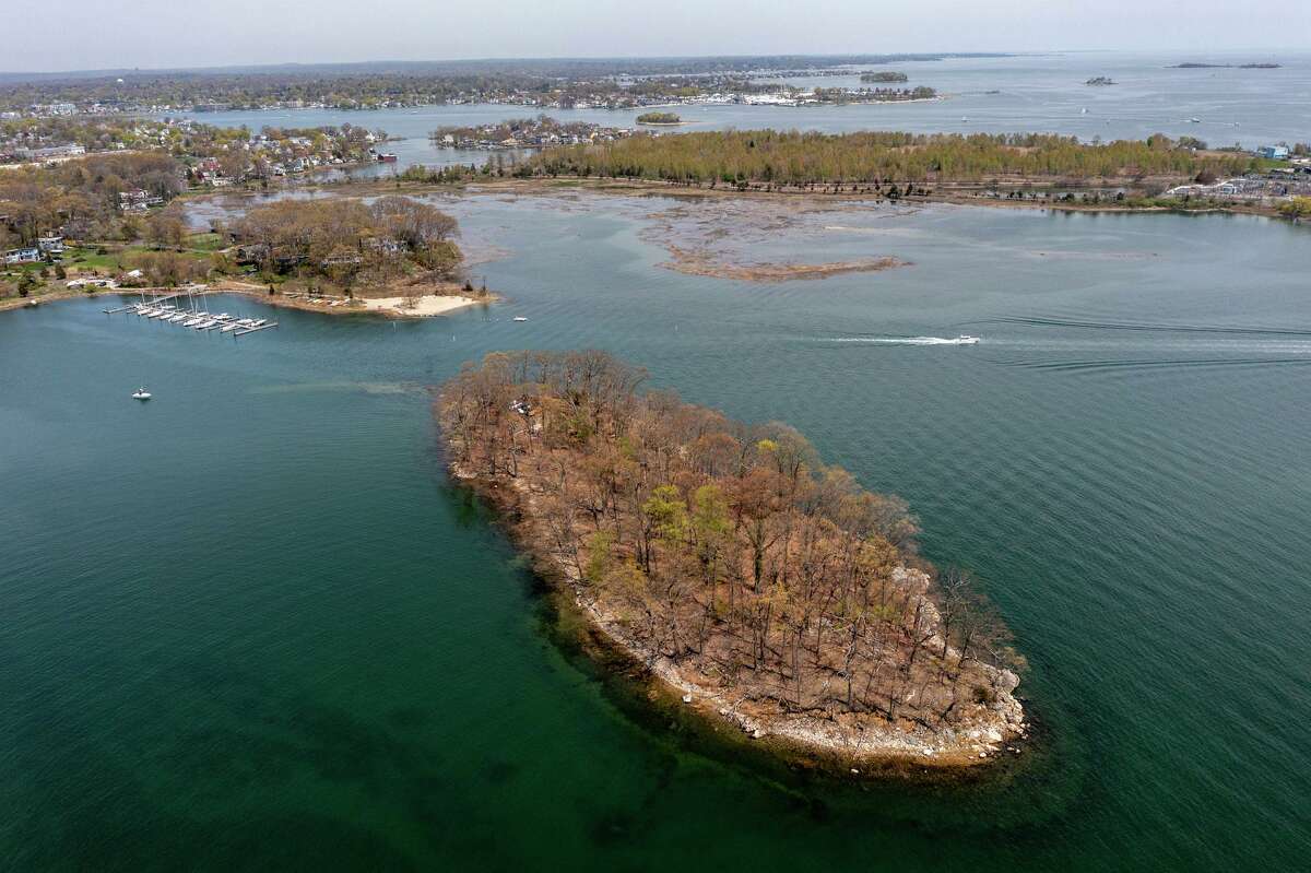 Officials Toxins threaten wildlife on Hoyt Island. But it will cost