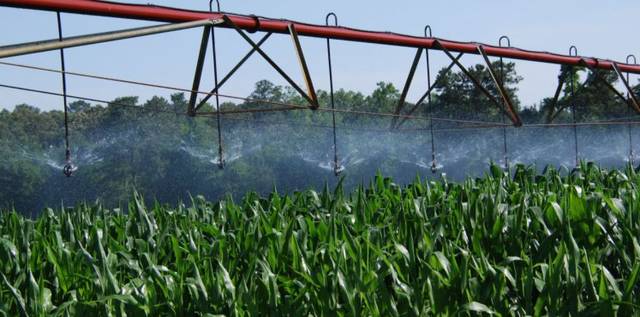 Scientists propose improvements to precision irrigation - Vimarsana News