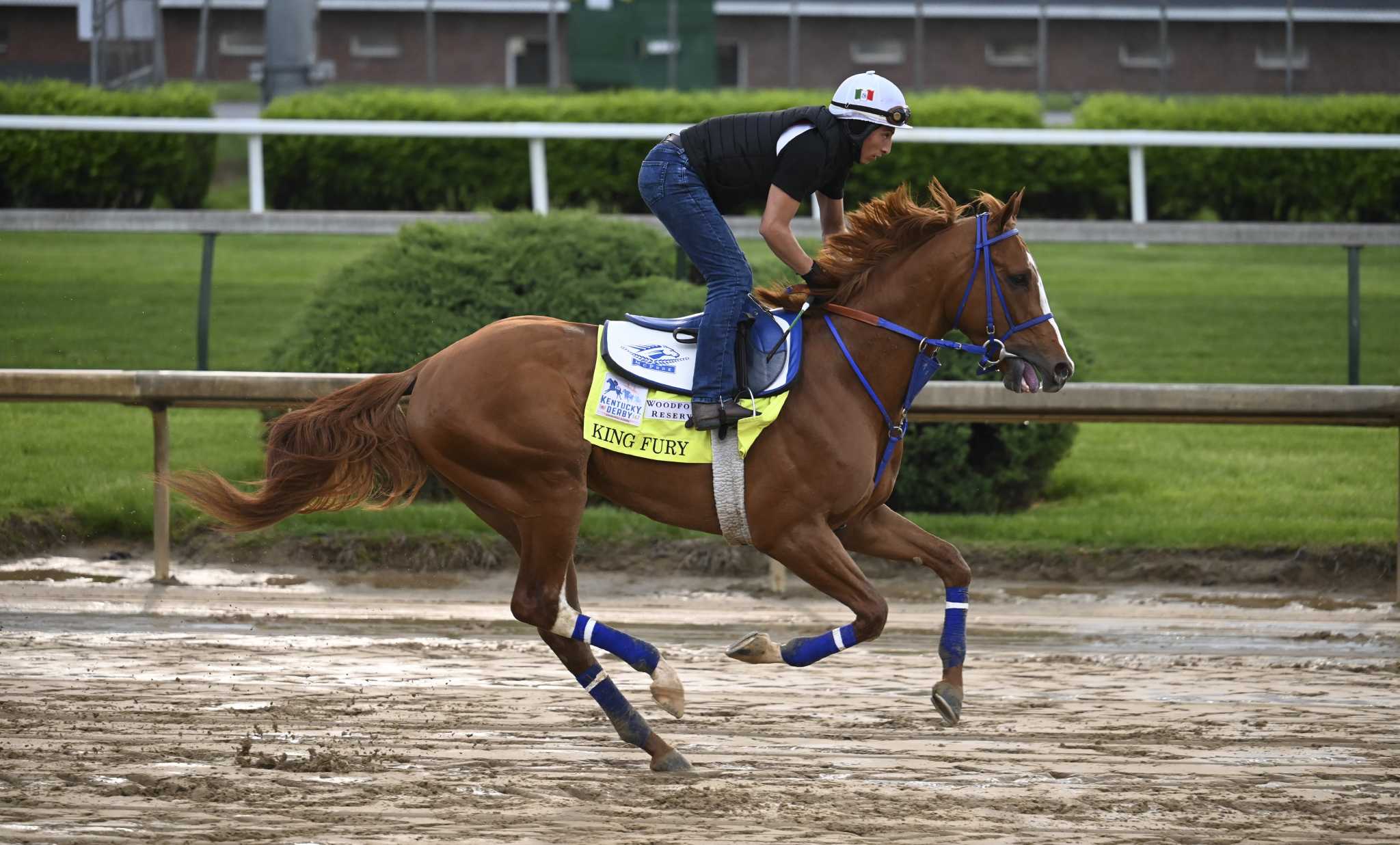 Kentucky Derby long shot King Fury will have a heavyweight in his corner