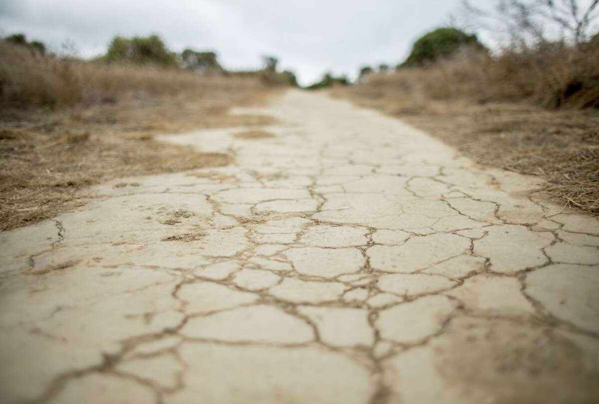 The grass is brown and the hiking trails are dry and cracked in November 2019 on Sugarloaf Hill in San Mateo. After two consecutive dry winters, most of the Bay Area is in “extreme drought” heading into the dry season.