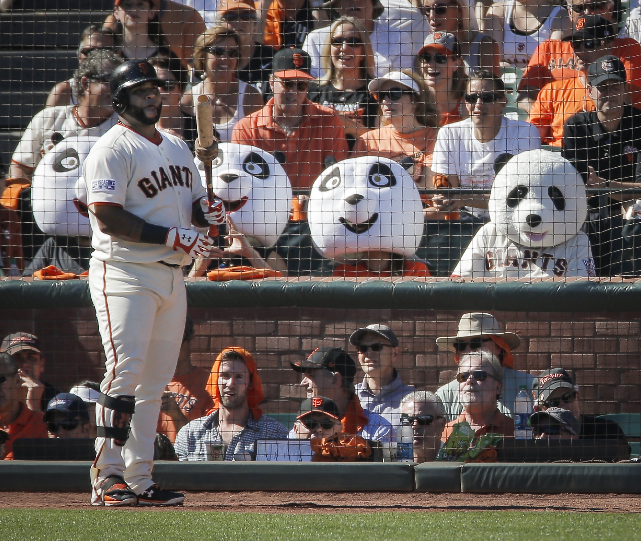 Mad Dog, Catfish and Bear: An all-animal lineup of Giants and A's in honor of #RallyRabbit - Vimarsana News
