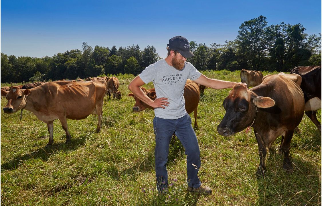 Can grass-fed cows save Hudson Valley's small dairy farms?