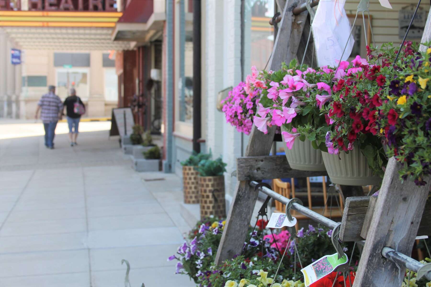 Do Manistee city employees receive higher salaries than their peers?