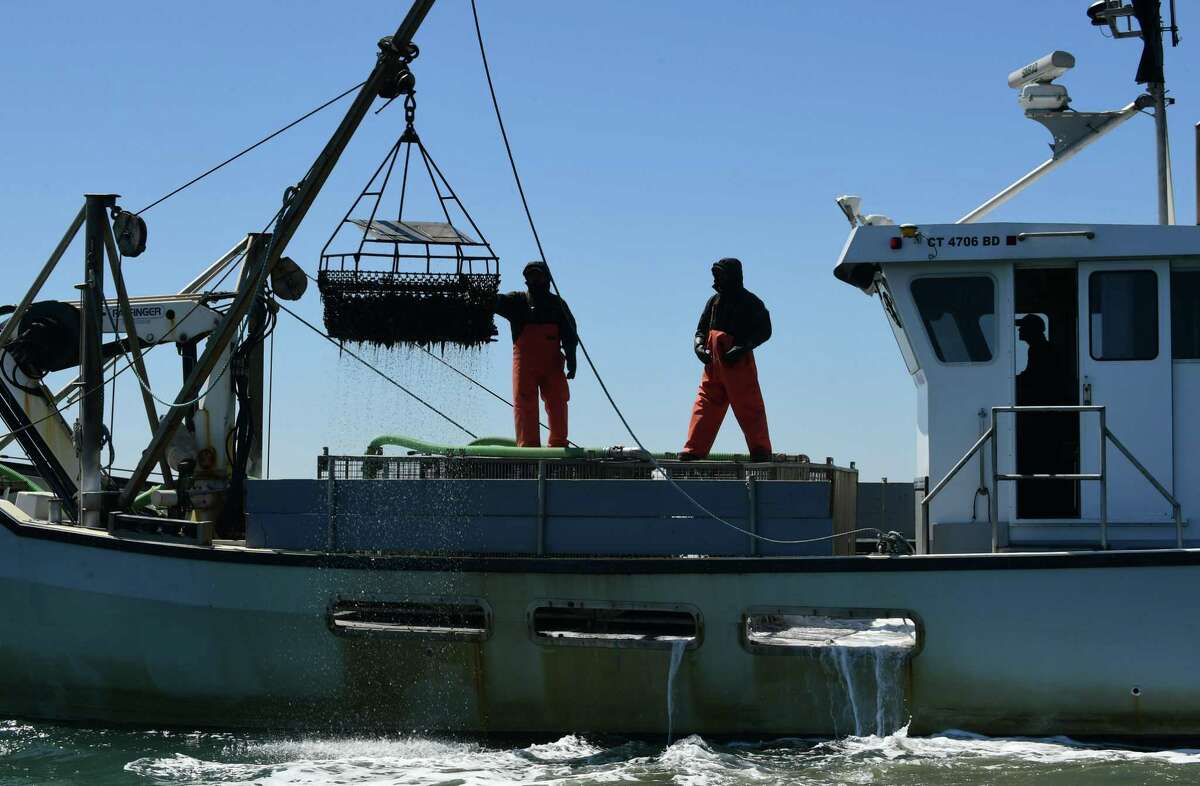 Workers with Copps Island Oysters in May 2020 in Norwalk, Conn.