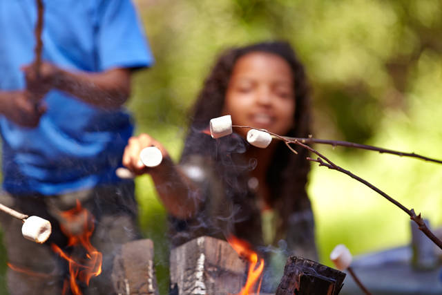 Camps making plans, and changes, for post-pandemic summer - Vimarsana News