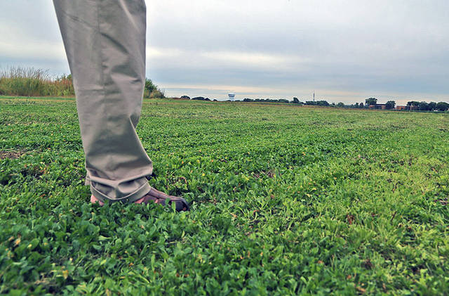 Field day taking look at pennycress - Vimarsana News